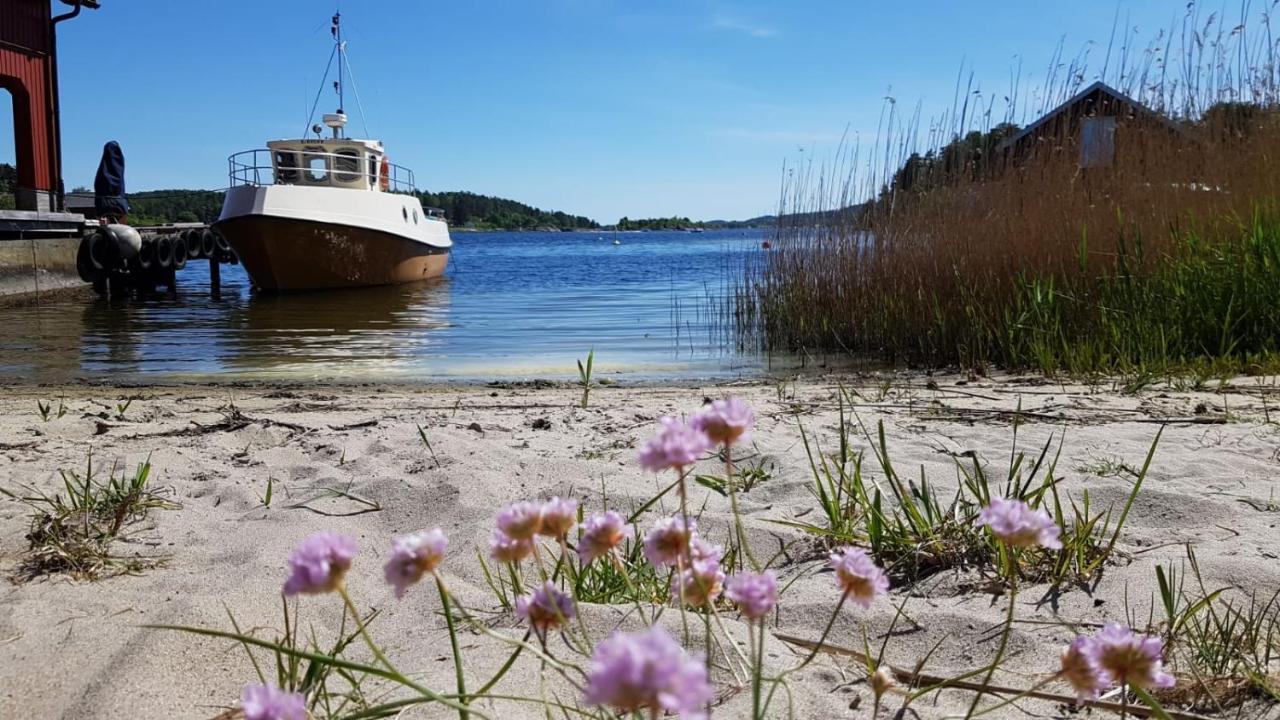 In Love With Norway Larvik Eksteriør billede